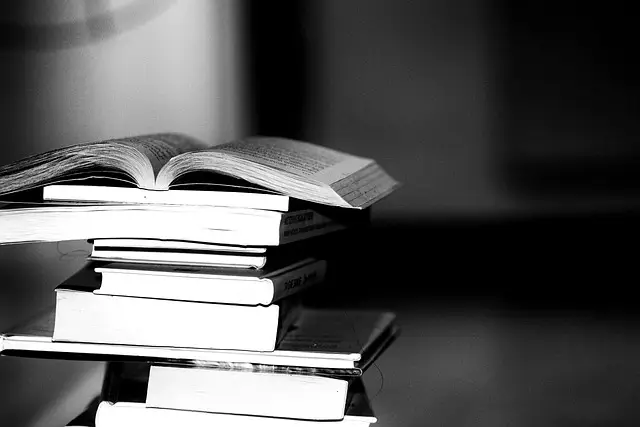 books, reading, knowledge, read, study, learning, gray book, gray books, gray learning, gray reading, gray study, gray studying, gray knowledge, books, books, study, study, study, study, study, learning, learning, learning, learning